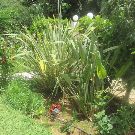 Apartment Verde